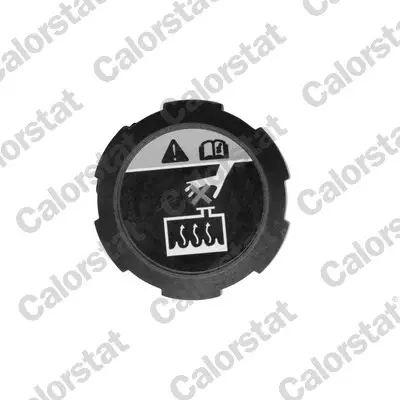 Кришка розширювального бачка HYUNDAI/ KIA (вир-во) Vernet RC0200 (фото 1)
