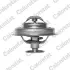 Термостат Peugeot 305 1.9 D 82-88/ J5 1.9 D 90-94 (89C) Vernet TH4945.89J (фото 1)