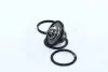 Термостат FIAT, VOLVO, CITROEN (вир-во Vernet)  TH510889J