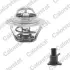 Термостат та фланець NISSAN; OPEL; RENAULT (вир-во) Vernet THK604710.89J