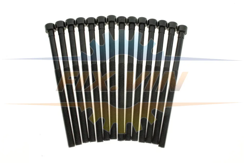 Комплект болтів гбц (14шт) BMW 3 (F30/F80)/5 (G30/F90)/X3 (G01/F97) 15- B46/B48 VICTOR REINZ 14-12261-03 (фото 1)