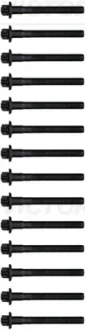 Комплект болтів з головкою системи TORX з чорного металу VICTOR REINZ 14-32109-03