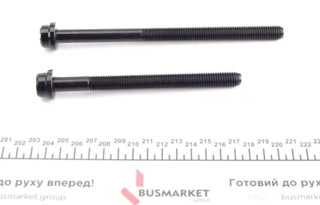 Комплект болтів гбц REINZ VICTOR REINZ 14-32134-01