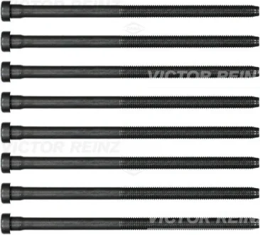 Комплект болтів VICTOR REINZ 143238402