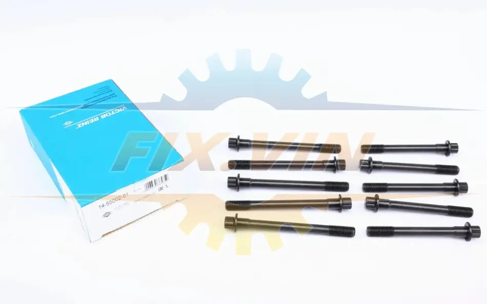 Комплект болтів з головкою системи TORX з чорного металу VICTOR REINZ 14-55002-01 (фото 1)