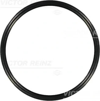 Уплотнительное кольцо VICTOR REINZ 407613100