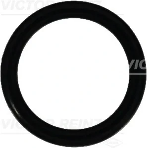 Уплотнительное кольцо VICTOR REINZ 407633700