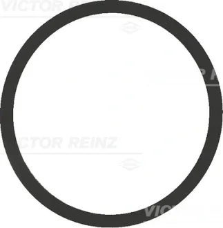 Прокладка, впускной коллектор VICTOR REINZ 407754200