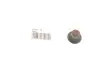 Сальник клапана випуск. Ford Transit/Focus/Mondeo 1.8-2.3 i 00- VICTOR REINZ 703554400 (фото 1)