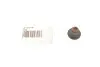 Сальник клапану FORD Focus 1,0 ecoboost M1DA 125л.с M2DA 100л.с 2010- / Focus 1,6Ti 2010- IQDB XTDA VICTOR REINZ 703772800 (фото 1)