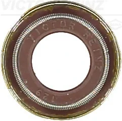 Ущільнювальне кільце, стержень кла VICTOR REINZ 70-38487-00