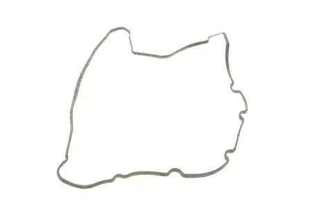 Прокладка кришки Г/Ц CITROEN/PEUGEOT \'\'2.0HDI \'\'99-10 VICTOR REINZ 713440400