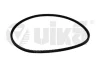 Ремінь клиновий 10х975 Skoda Favorit,Forman (88-95) VIKA Vika 10970589301 (фото 1)