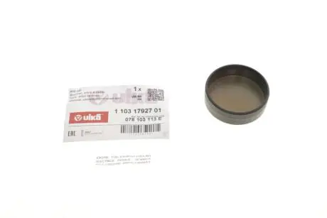 Заглушка головки блоку VW Passat (96-00,00-05), Touareg (02-10,10-) vika Vika 11031792701