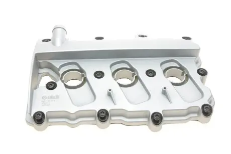 Крышка головки блока цилиндров Audi A4 (04-09),A6 (04-08)  VIKA Vika 11031806001
