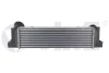 Радиатор интеркуллера BMW 3 E90, E91, E92 /X1 E84 (04-15) Vika 11077901 (фото 1)