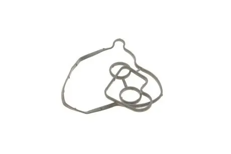 Прокладка масляного радіатора VW Touareg/Audi A4, A4 Allroad, A5, A6, A7, A8, Q5, Q7 3.0D (07-)  VIKA Vika 11171702801