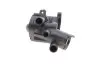 Корпус термостату з термостатом 80? VW Polo (01-09)/Audi A2 (00-05)/Seat Ibiza (02-09) vika Vika 11211412101 (фото 3)