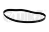 Ремінь поліклиновий 6PK906 Skoda Octavia I (1u2) (96-10)/VW Golf IV (1J1) (97-05),Bora (98-05) vika Vika 19030599301 (фото 1)