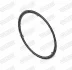 OPEL прокладка глушника Astra J 12/2009 -, Insignia 07/2008 -, Meriva 09/2009 -, Zafira 02/2009 - WALKER 82084 (фото 1)
