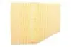 Фільтр повітряний BMW (вир-во WIX-FILTERS) WIX FILTERS WA9607 (фото 3)