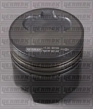 Поршень с кольцами і пальцем (размер отв. 79,760/+0,25) VW 1.9TD (4цл.) (AAZ) YENMAK 3103302025 (фото 1)