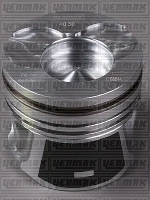 Поршень з кільцями і пальцем (73,70/STD) CITROEN С1/С2/С3/Nemo 1,4HDI 03- (DV 4 DT) YENMAK 3103460000 (фото 1)