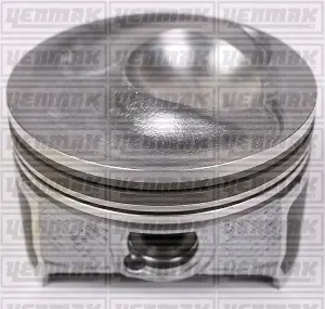 Поршень с кольцами і пальцем (размер отв. 77.01 / +0.5) (BAG,BLF,BLP) дизель YENMAK 3103956050 (фото 1)
