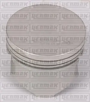 Поршень с кольцами і пальцем RENAULT Kangoo 1.2 (размер отв. 69 / STD) (DF 7 700/701/702/706/710/720/722/726/720/730/726) YENMAK 3104155000 (фото 1)