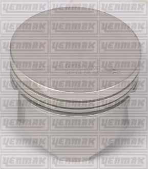 Поршень с кольцами і пальцем RENAULT Kangoo 1.2 (размер отв. 69 / STD) (DF 7 700/701/702/706/710/720/722/726/720/730/726) YENMAK 3104155000