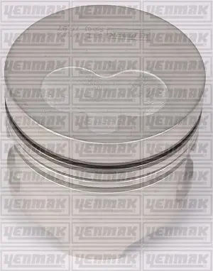 Поршень с кольцами і пальцем (размер отв. 80 / STD) (F8 Q.706 64PS) YENMAK 3104161000 (фото 1)