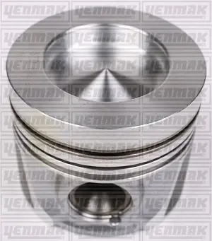 Поршень з кільцями і пальцем (розмір отв. 79.51 / STD) (CFWA,CAYA) YENMAK 3104340000 (фото 1)
