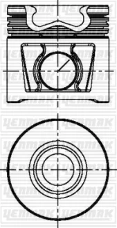 Поршень с кольцами і пальцем (размер отв. 88,00/STD) FIAT Ducato 2.3D Multijet 06-, IVECO Daily 2,3D (F1AE 0481C EURO 3) YENMAK 3104831000
