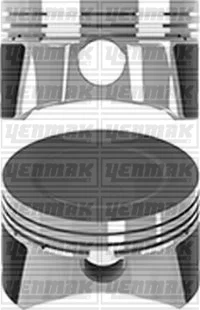 Поршень с кольцами і пальцем (размер отв. 79,00/STD) FORD Focus, C-Max, Fusion, 1.6 -10 (1.6 ZETEC-S) бенз. YENMAK 3604950000