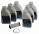 Сервісний комплект LifeguardFluid 7.6 DCT ZF 5961.308.278